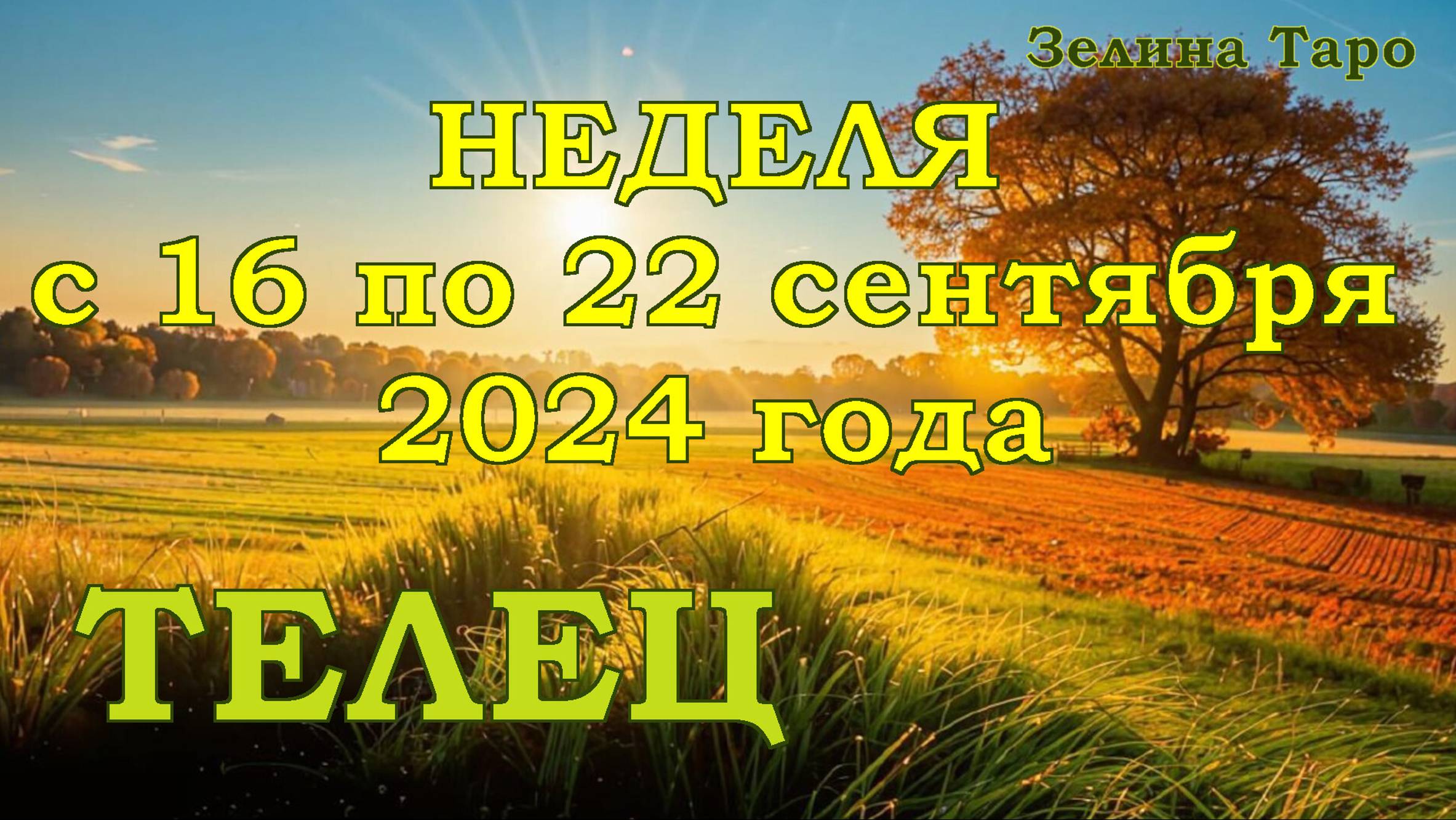 ТЕЛЕЦ | ТАРО прогноз на неделю с 16 по 22 сентября 2024 года