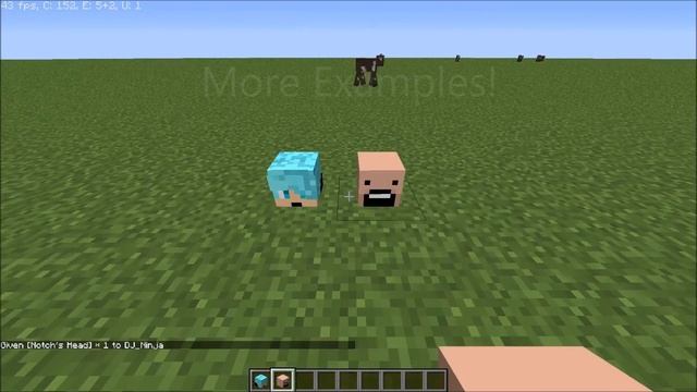How To Get Any Player Head In Minecraft! EASY!