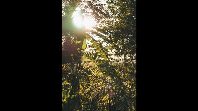The Hour of Relax - 1 hour relaxing \\ studying and relaxation