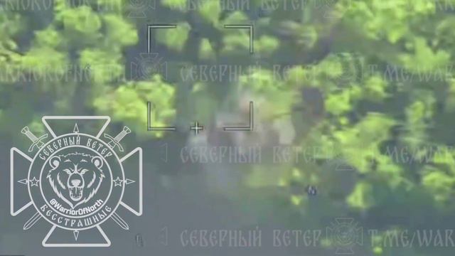 🇷🇺Иксоводы ГВ "Север" нанесли огневое поражение по гаубице"Д-30"украинских фашистов на Харьковском