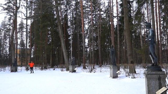 Павловский парк. Прогулка по Павловскому парку.