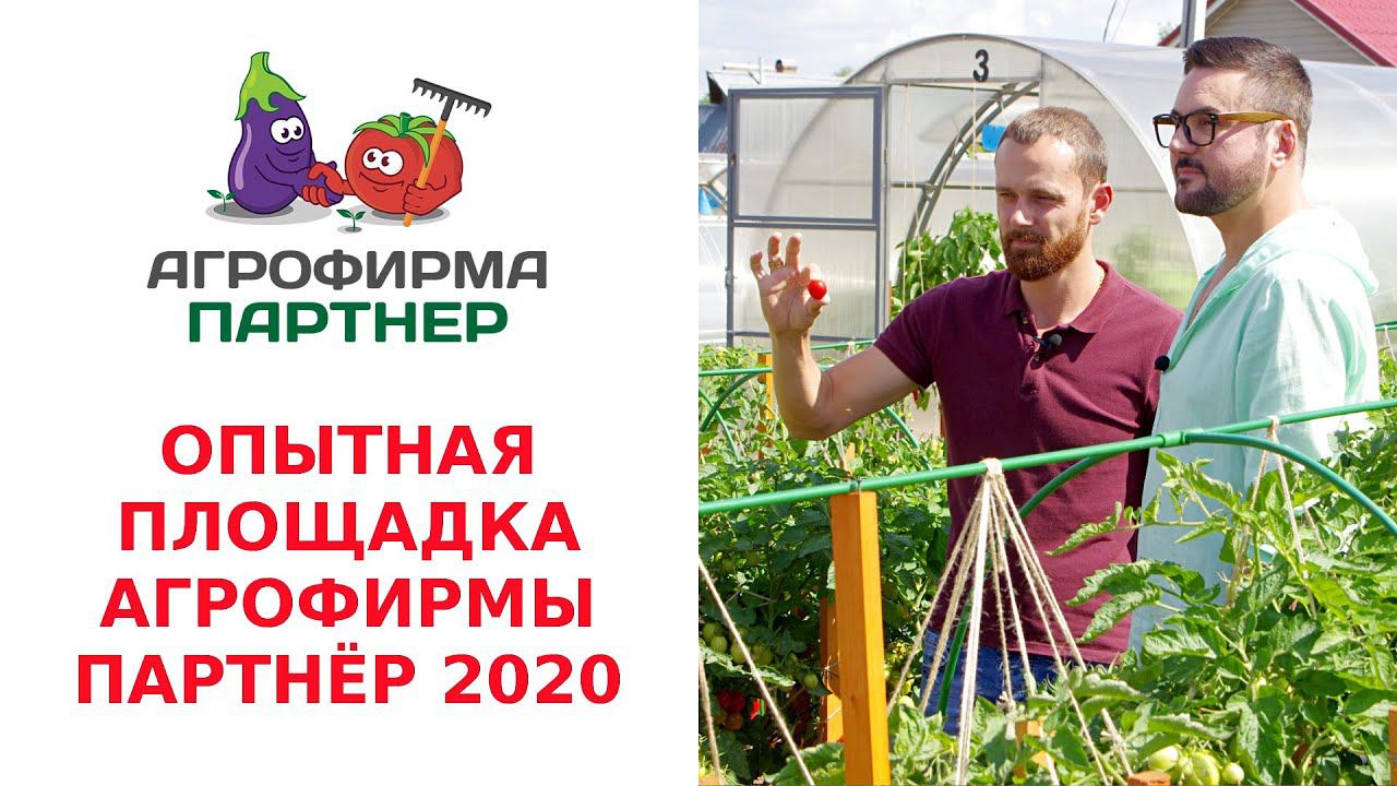 ОПЫТНАЯ ПЛОЩАДКА АГРОФИРМЫ ПАРТНЁР 2020