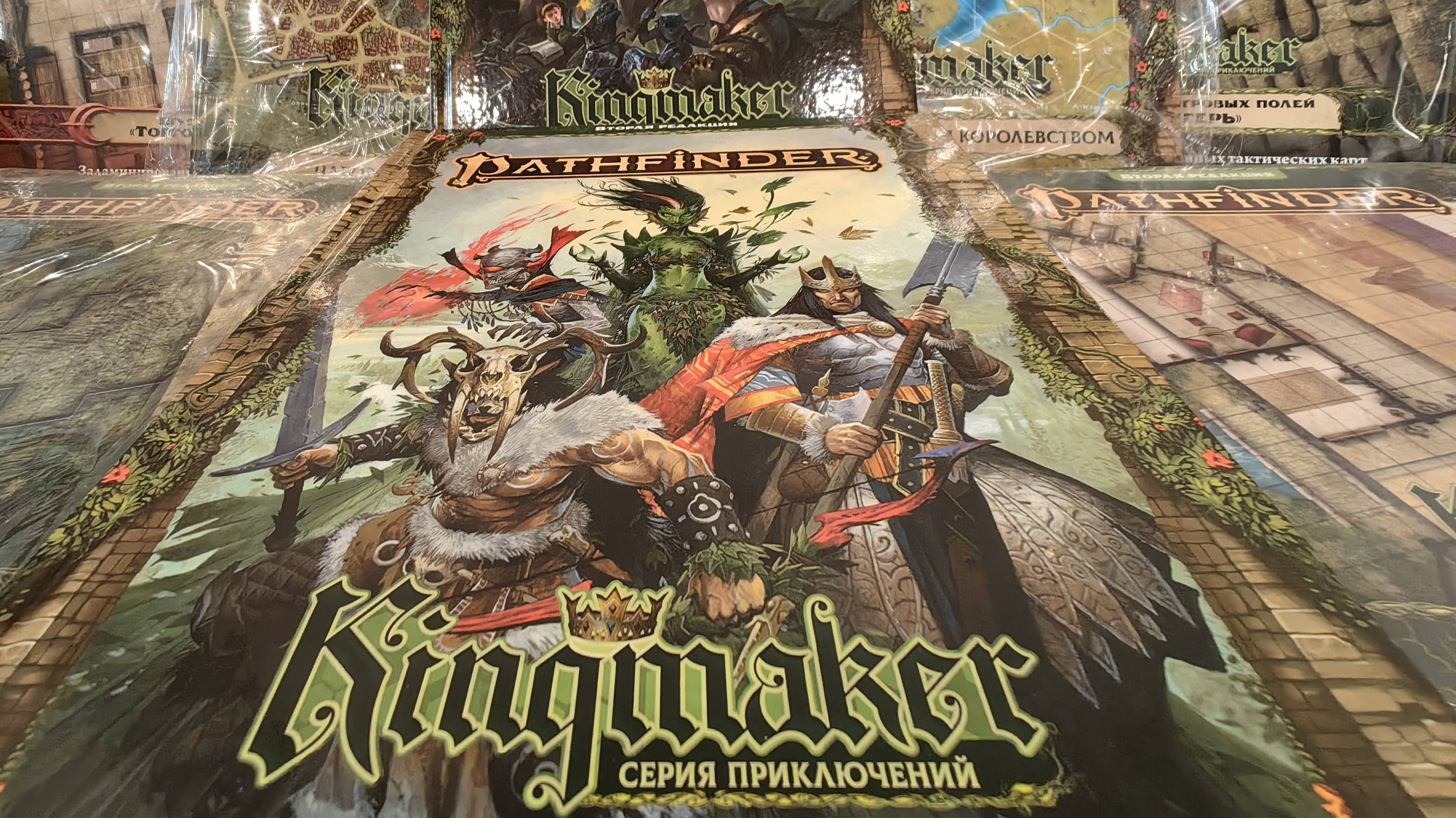 Pathfinder: Kingmaker (распаковка)