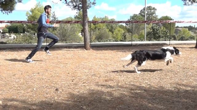 men vs dog a 1000 fps\sony rx100 mk 5