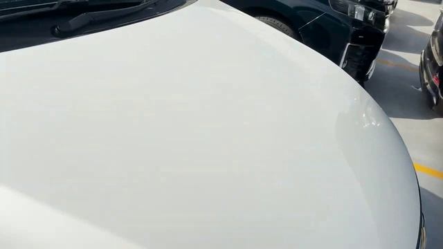 Два медведя- автомобили на аукционе в Японии