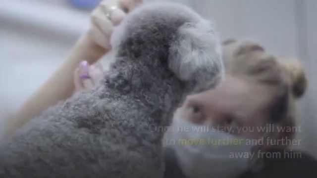 How to Train your Poodle? [Easy Yet Most Effective Method]