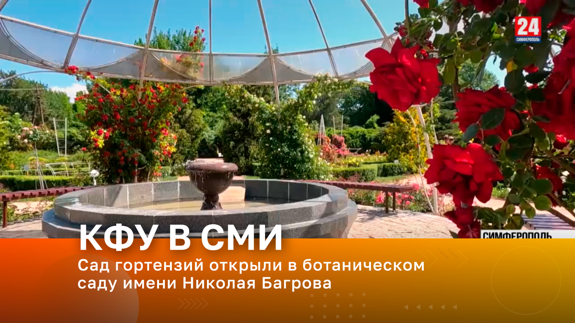 Сад гортензий открыли в ботаническом саду имени Николая Багрова