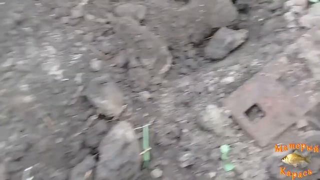Мой первый поход за металлом в поле