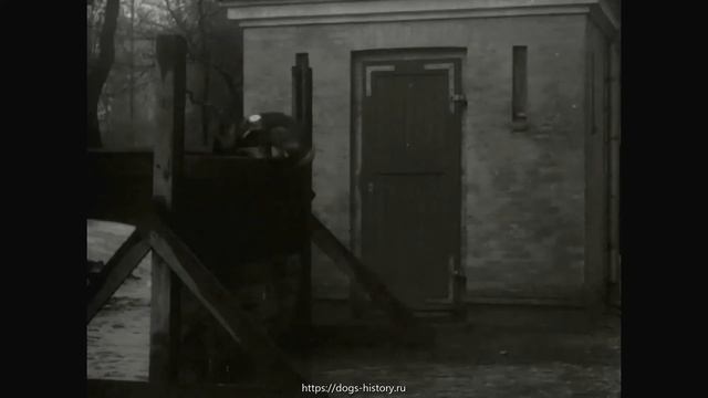 1918 Rosenborg Castle(Denmark)-Розенборг (Копенгаген, Дания)