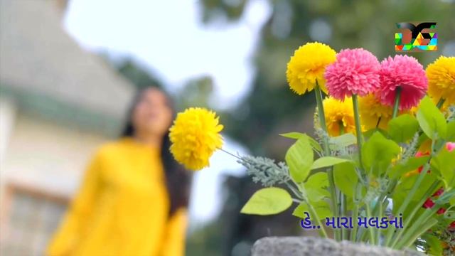 Khava Mate Pizza Videsh Java Visa - Kinjal Dave | New WhatsApp Status | Golakiya Digital