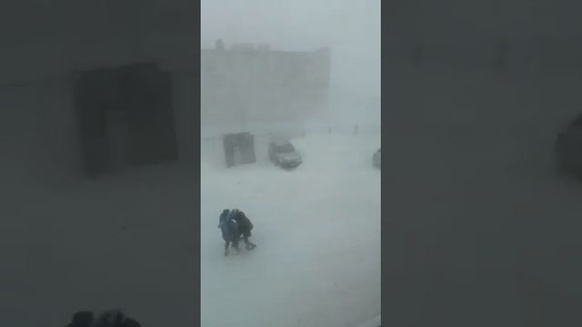 суровые ученики Чукотки. пурга (3)