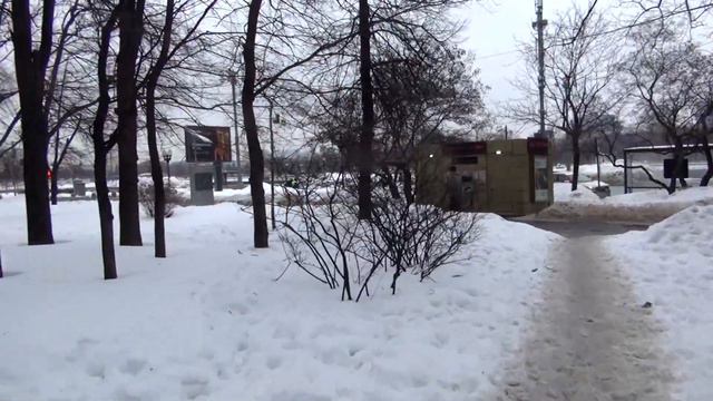 1-я прогулка по Москве 2024. Часть 1: От м.«Фрунзенская» до Андреевского моста (24.02.2024)