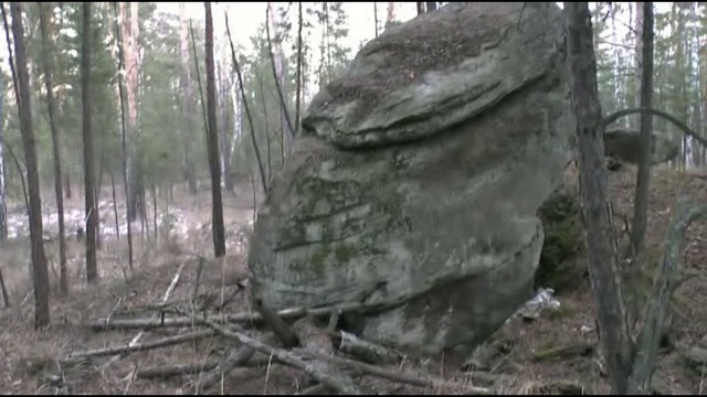 Зимняя прогулка