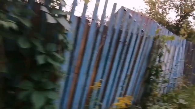 Пожар в СНТ, выжигают дачи, а поджигателей найти не могут