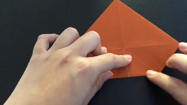 11Origami Pakkuncho  折り紙