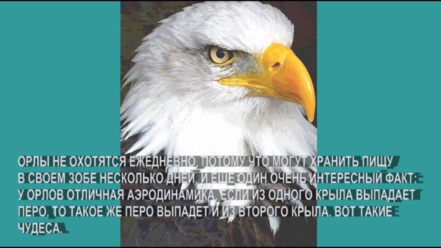💎🌸 🦄 ИНТЕРЕСНЫЕ ФАКТЫ О ВОЛШЕБНОМ МИРЕ ПРИРОДЫ🌿
СЕРИЯ  