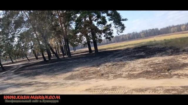 Последствия от пожара Аманкарагай Костанайская область улица Гвардейская. 6 сентября 2022.