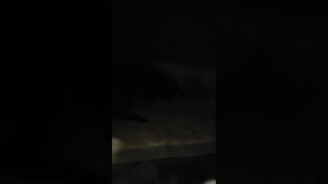 Лапатуси- мамины сладкуси??????