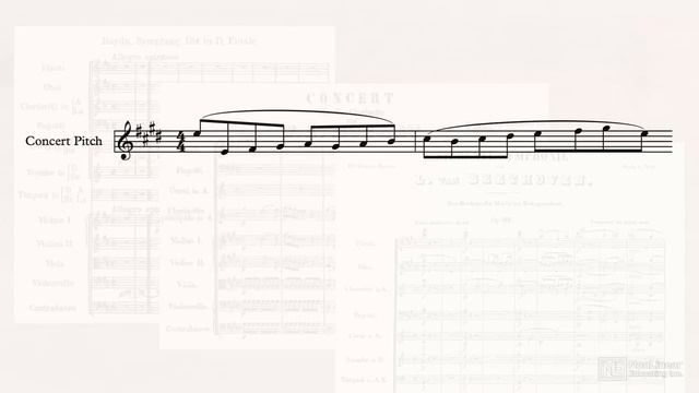 5. The A and B-flat Clarinets