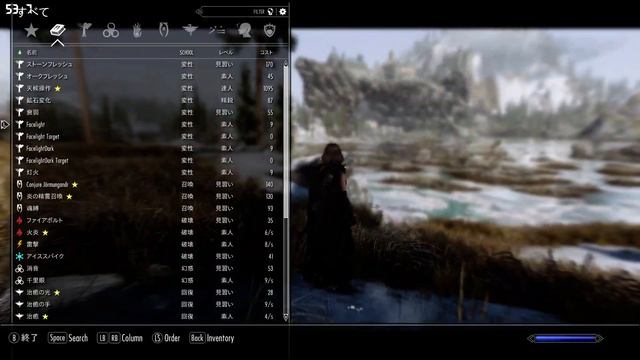 【スカイリムSE】 Skyrim SE  "Rudy ENB SE for VW and ENB binaries 0.325"