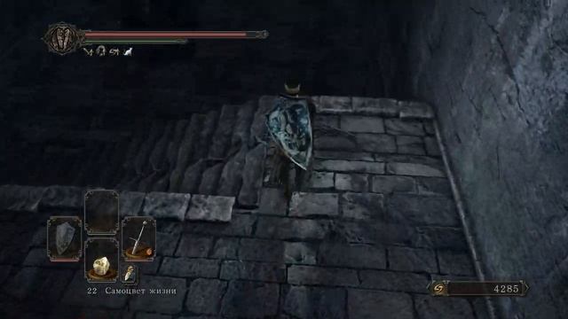 Dark Souls 2 - #12. Забытая крепость + босс - Стражи руин.