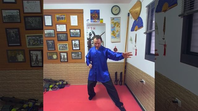 8 efforts of tai chi chuan. 13 Shi at Master Wang Ling School:  4. AN