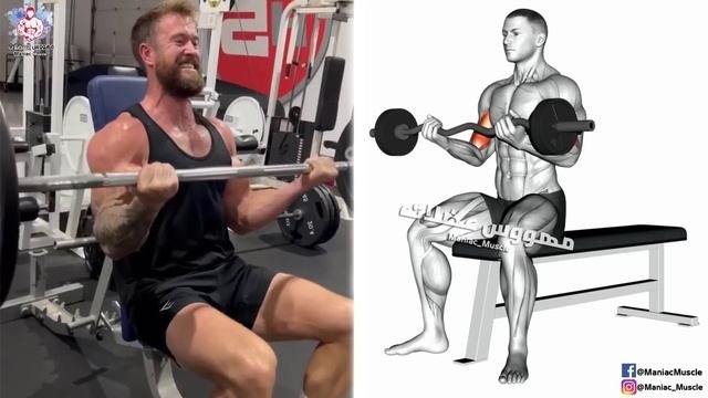8 BEST Exercises For WIDER BICEPS