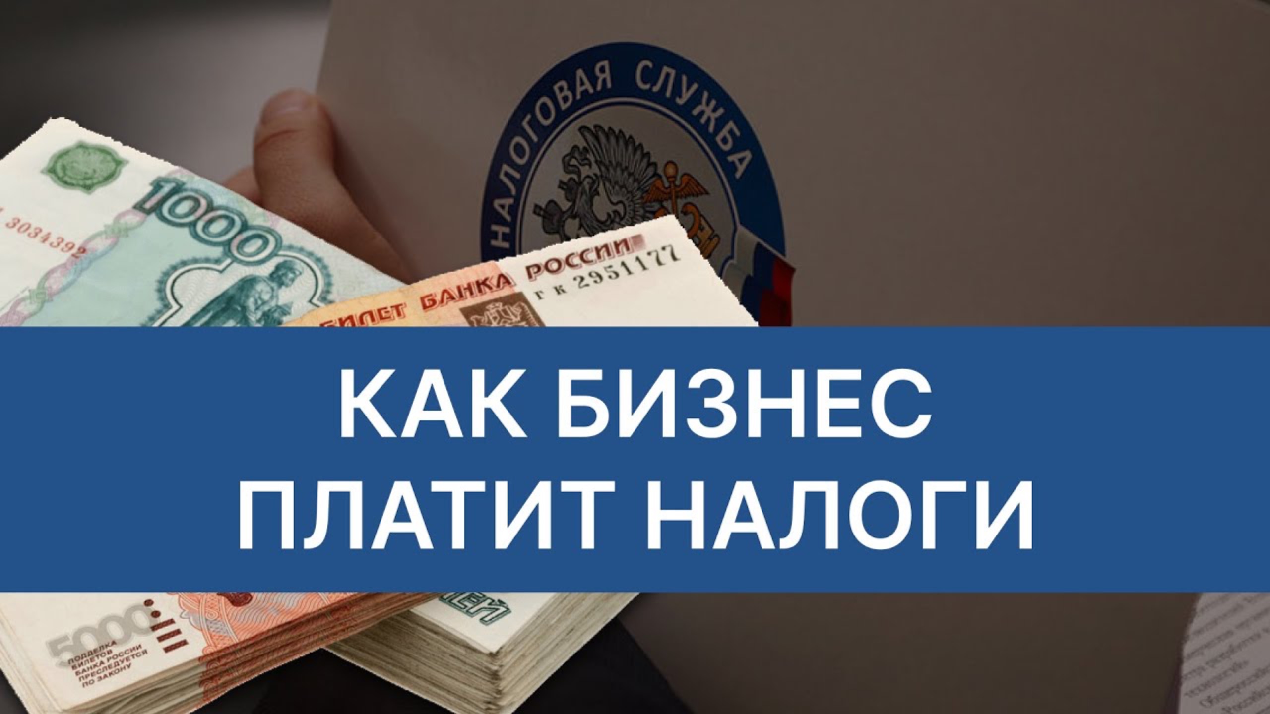 Налоги в бизнесе: Как предпринимателю платить налоги?