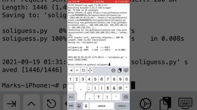 Alpine Linux Running on an IPhone