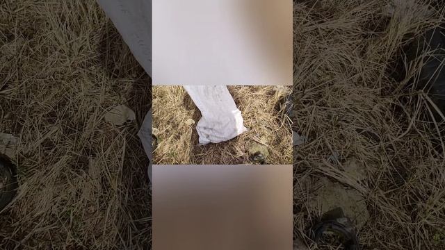 Металлокоп. Открыл сезон.