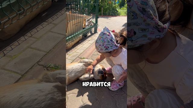 Алинка Малинка и первое знакомство с СОБАКОЙ 🌸