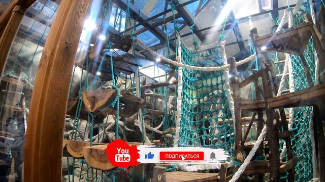 Воспоминания как мы ходили в харьковский зоопарк после реконструкции.
