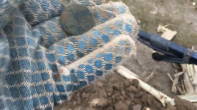 Монеты Золотой Орды, Коп монет с Честным копателем.