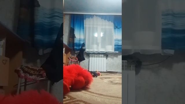 фотосинтесис 15 (Я вернулся)
