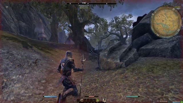 The Elder Scrolls Online Elsweyr #29 - Прохождение на русском
