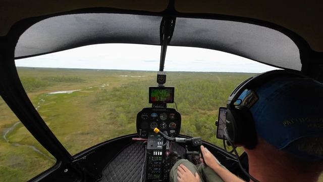 Robinson R66