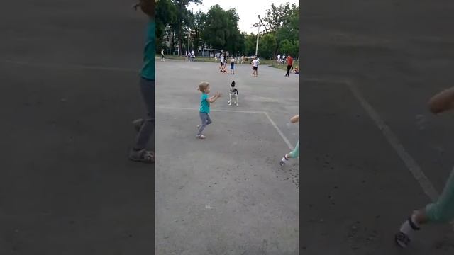 Щенок ВЕО 4 месяца (Айлин)