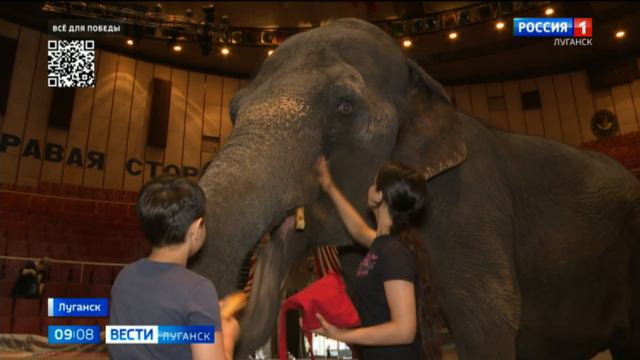 Дрессировщица из Италии и слониха из Африки показывают цирковые трюки зрителям Республики