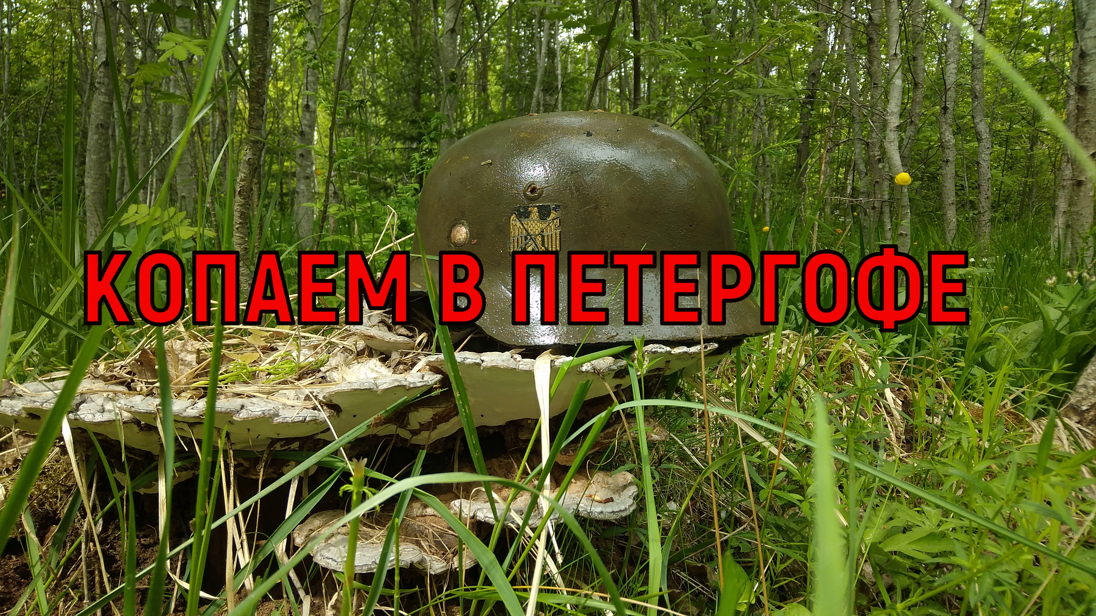 Коп по войне 2023
