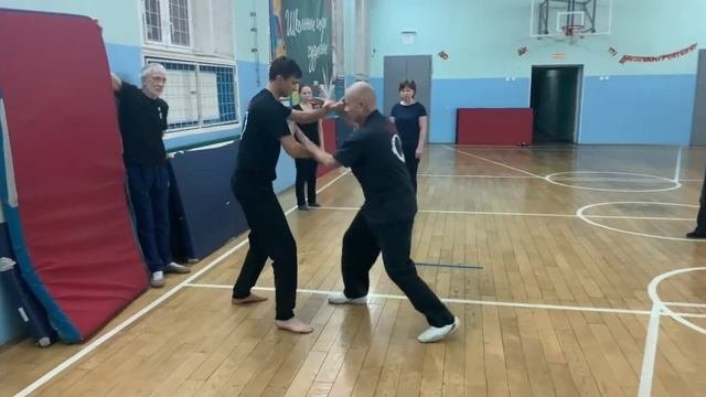 ❄️ ИЦЮАНЬ ТУЙШОУ. Учебный вариант с Фали (9.12.19). Yiquan Tuishou