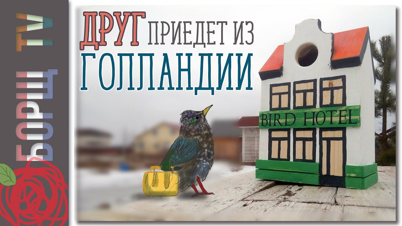 Как сделать скворечник своими руками | Размеры скворечника