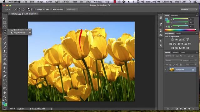 I-24 Basic editing with a PhotoShop image