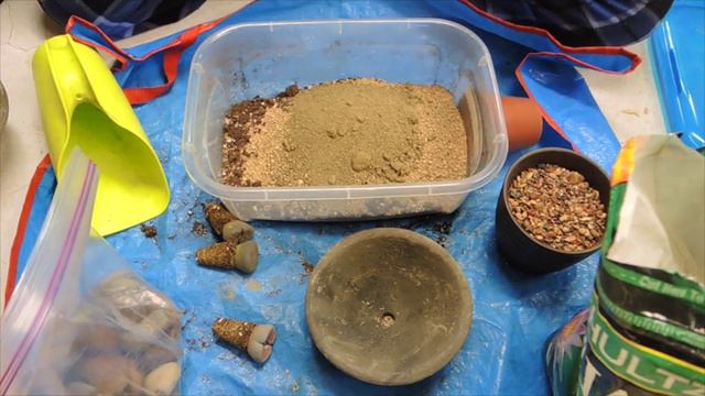 Making A Lithops Rock Garden