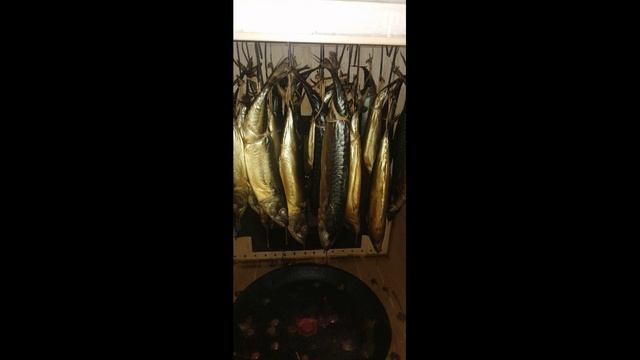 Копчение в домашних условиях
