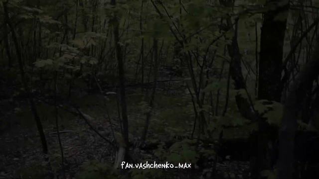 Чистильщик вернулся. max.vashchenko  vashchenko_live