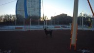 Режим 4К. Парк. Съемка на AC ROBIN Zed5 SE.