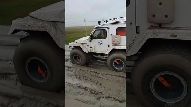 трэкол харасавэй