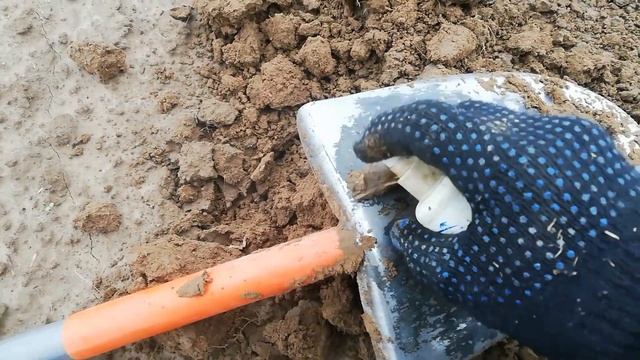 поля делятся своими сокровищами