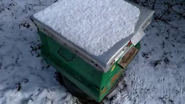 Зимовка пчёл 2020. Утепление и подкормка семей