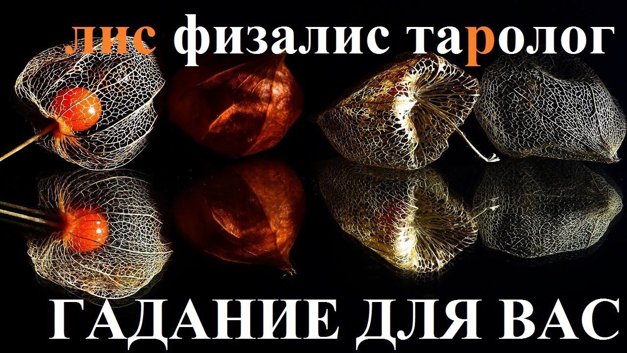 22 ИЮНЯ ГОРОСКОП КАРТА ДНЯ